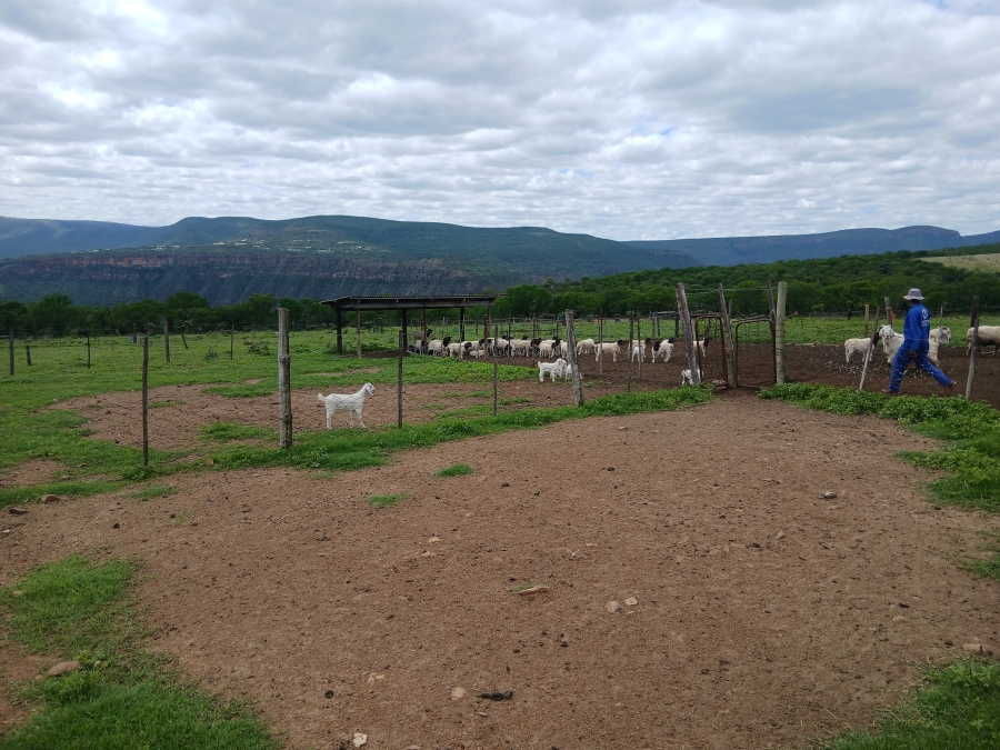 0 Bedroom Property for Sale in Stutterheim Rural Eastern Cape